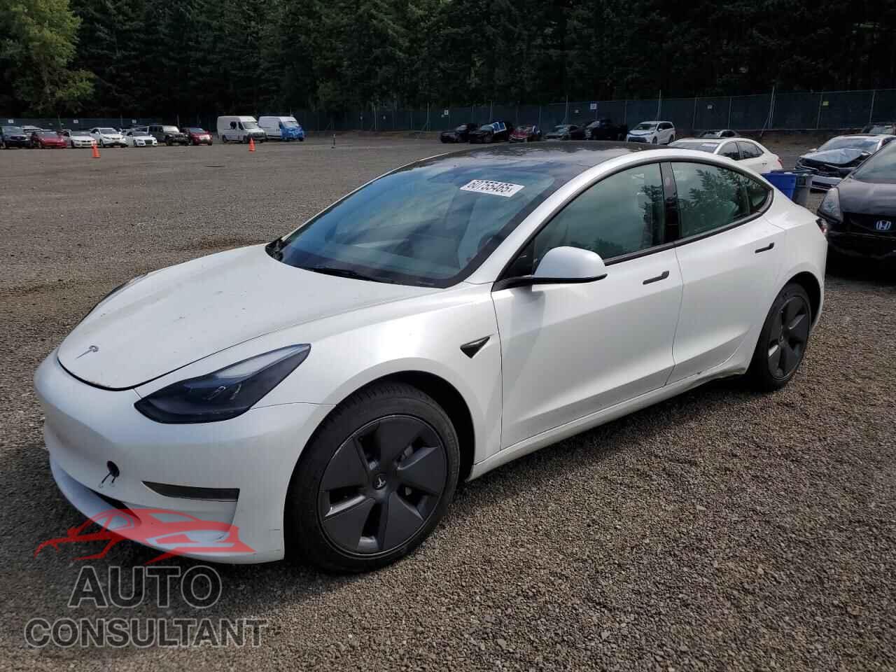 TESLA MODEL 3 2023 - 5YJ3E1EA5PF464743