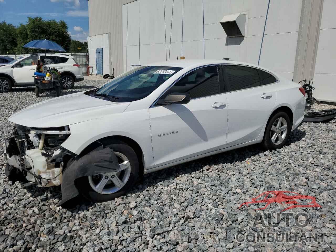 CHEVROLET MALIBU 2019 - 1G1ZB5STXKF225220