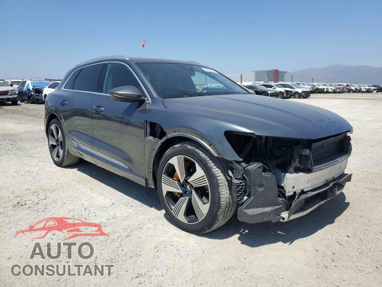 AUDI E-TRON 2019 - WA1VAAGE2KB005776