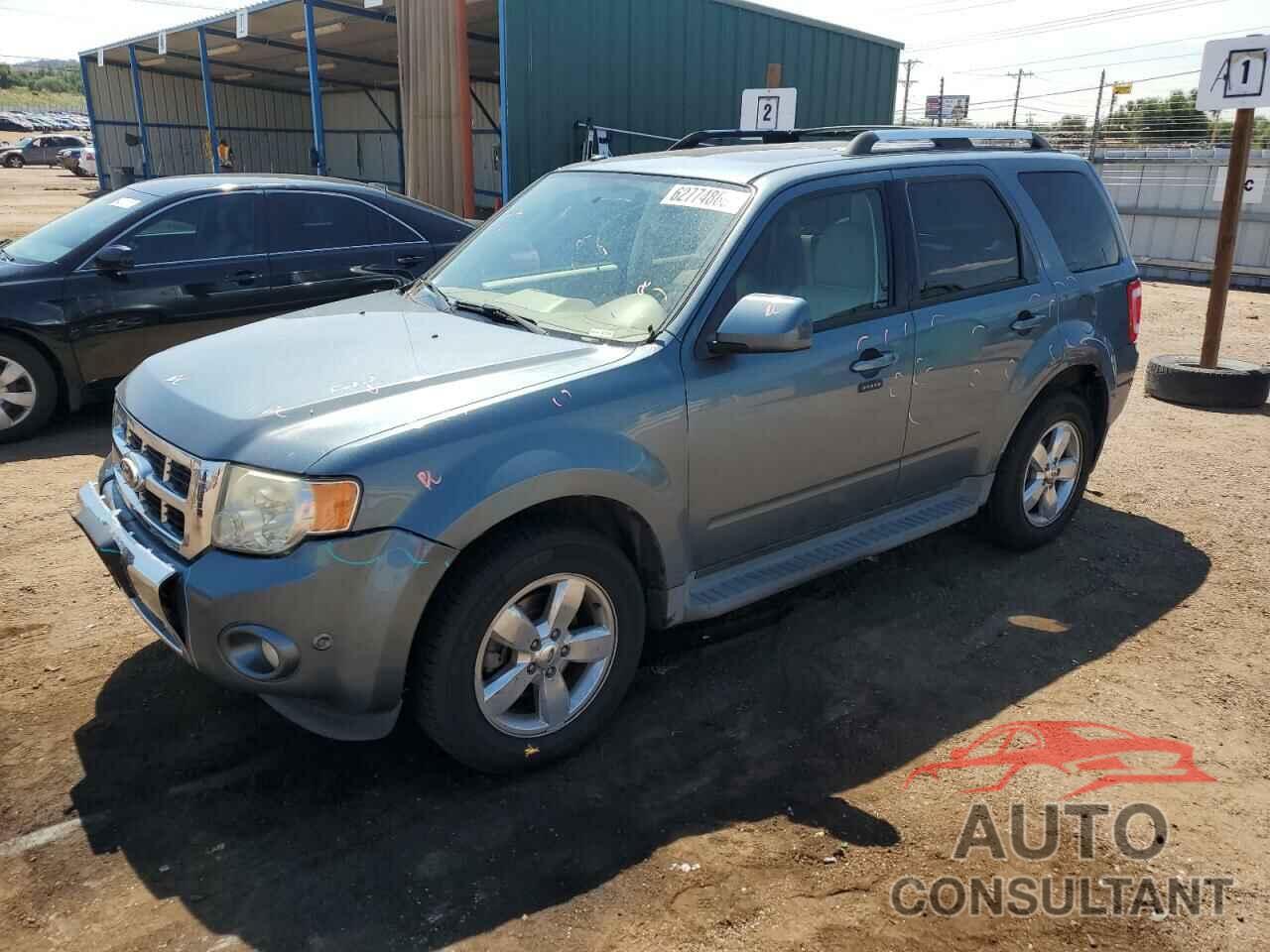 FORD ESCAPE 2011 - 1FMCU9EGXBKA79546