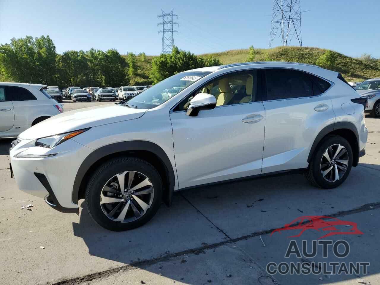 LEXUS NX 2019 - JTJBARBZ0K2185628