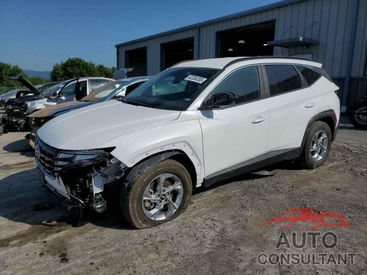 HYUNDAI TUCSON 2024 - 5NMJBCDE0RH340347