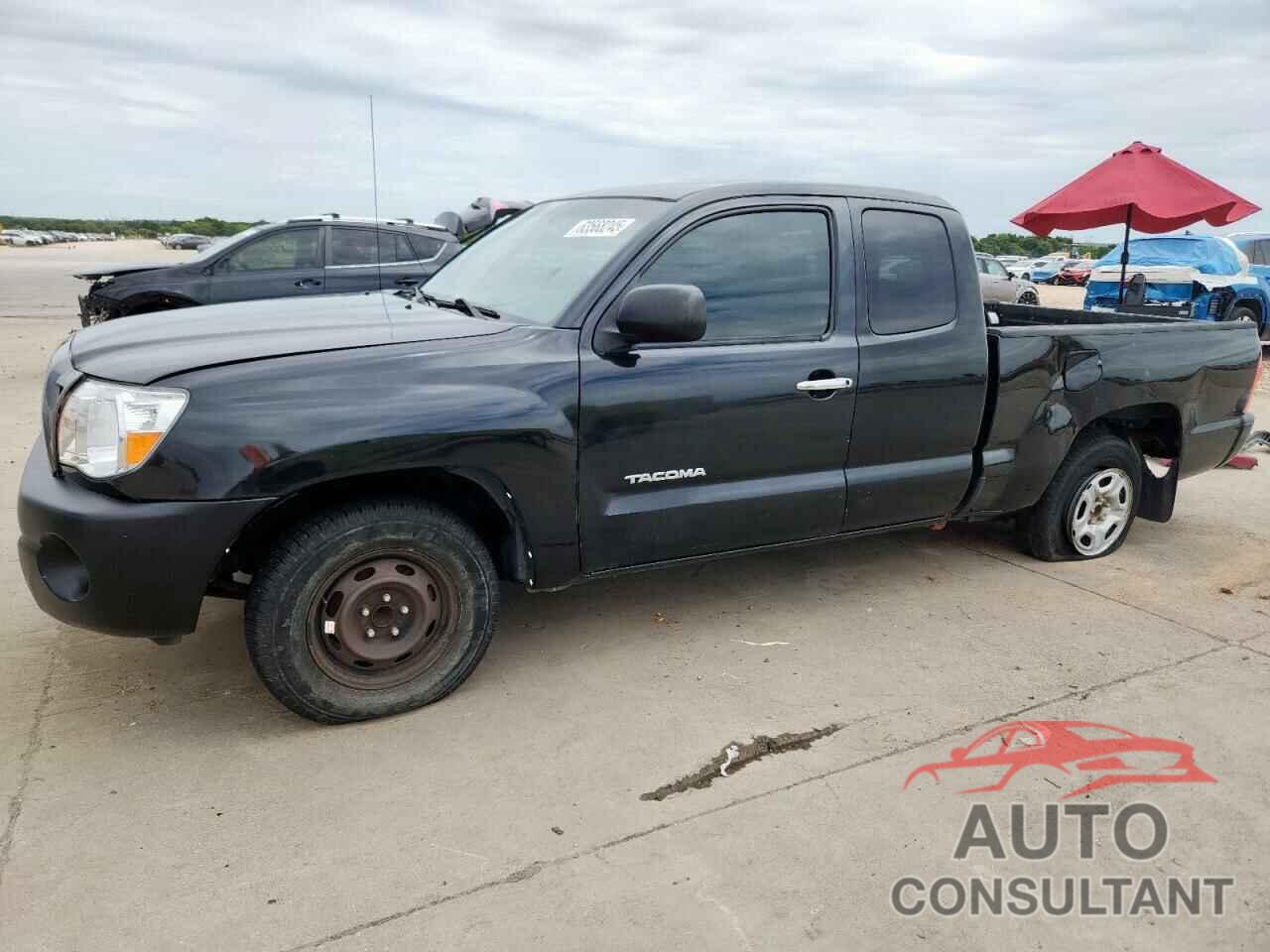 TOYOTA TACOMA 2009 - 5TETX22N09Z618624