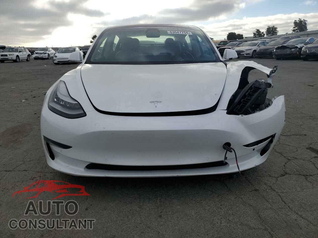 TESLA MODEL 3 2019 - 5YJ3E1EA4KF301462