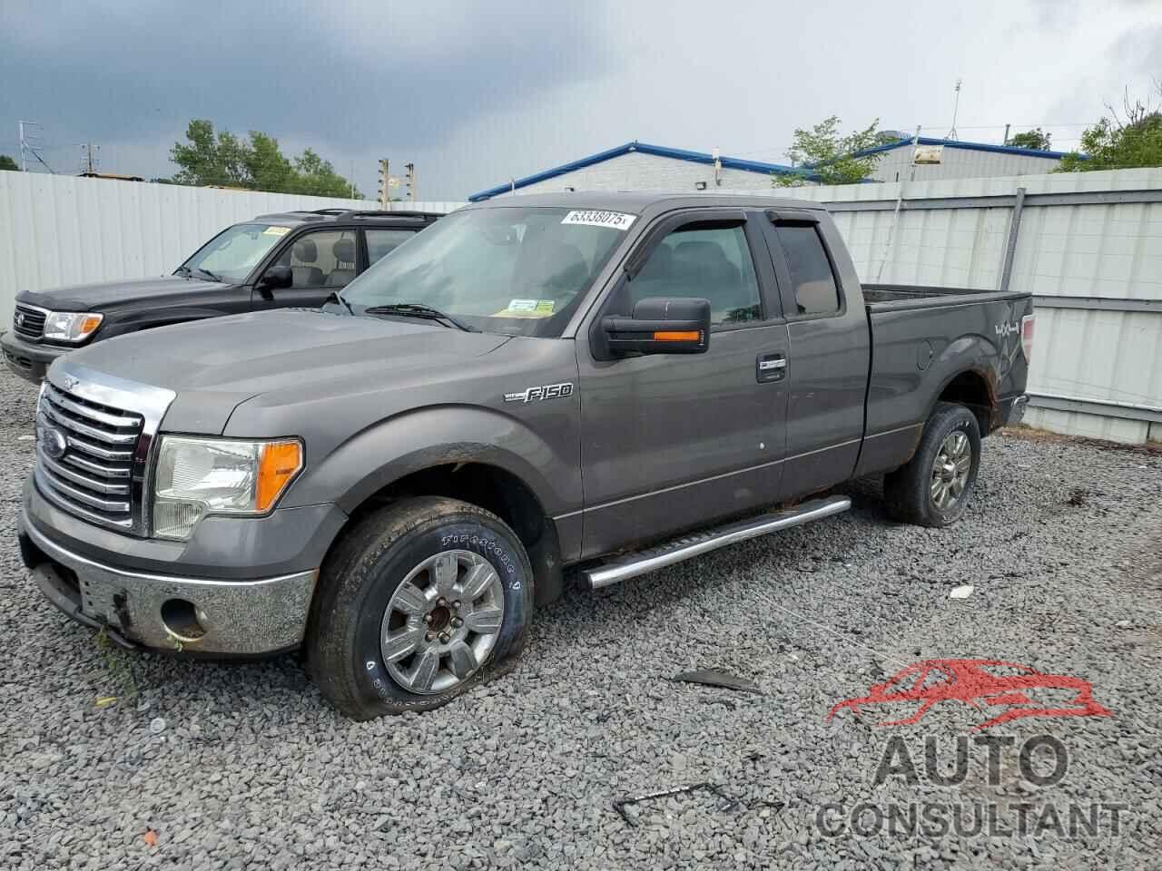 FORD F-150 2011 - 1FTFX1EFXBFD35680