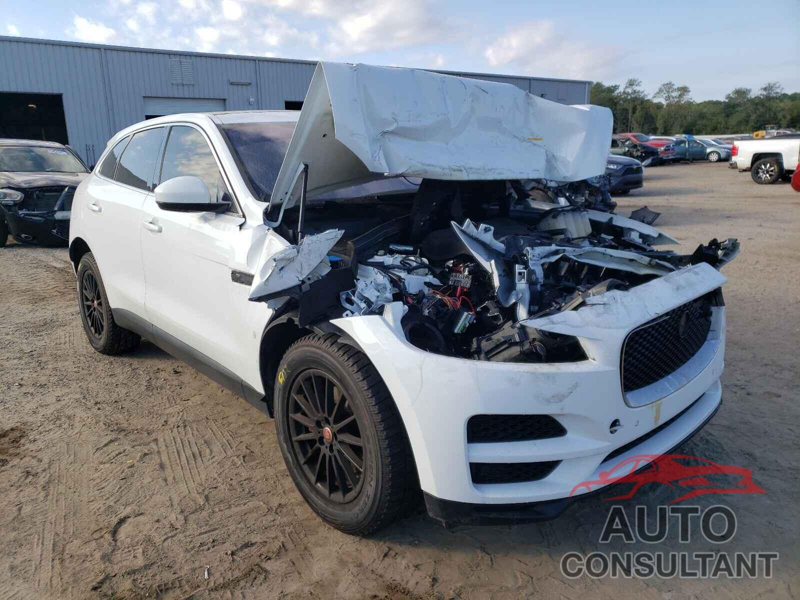 JAGUAR F-PACE 2019 - SADCS2FX3KA391573