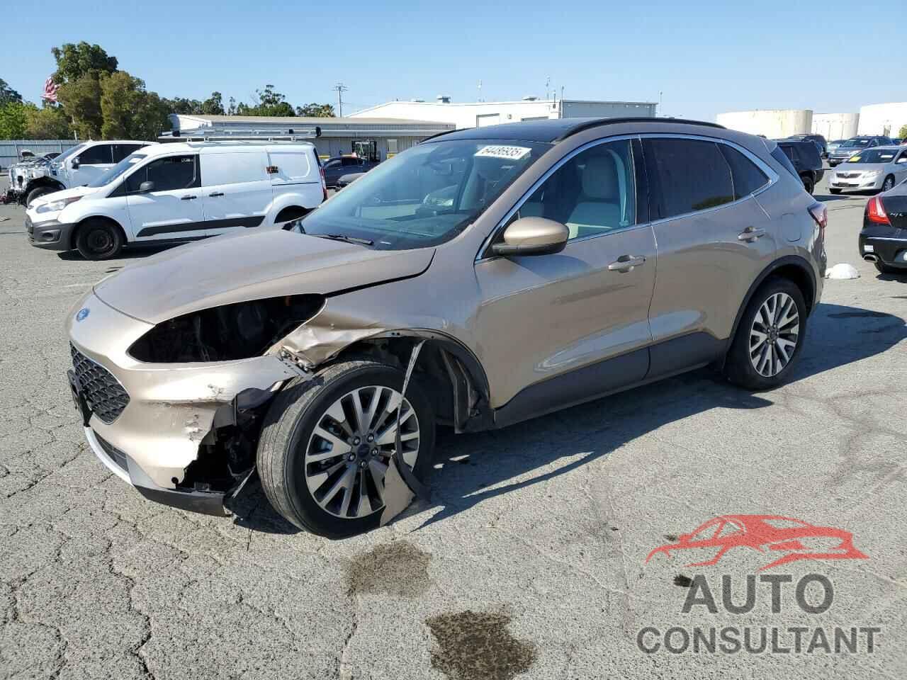 FORD ESCAPE 2021 - 1FMCU9DZ3MUA03743