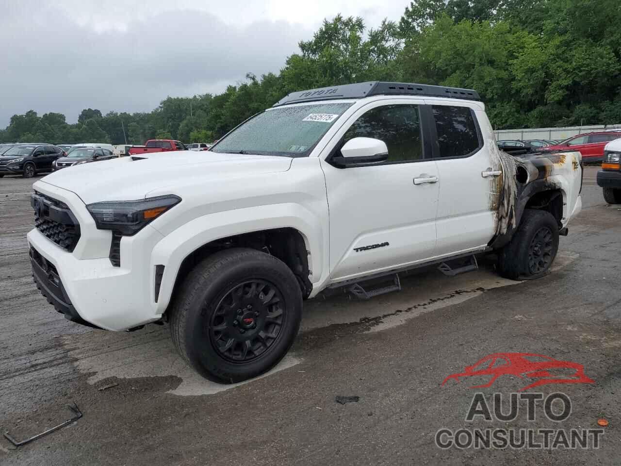 TOYOTA TACOMA 2024 - 3TYLB5JNXRT002156
