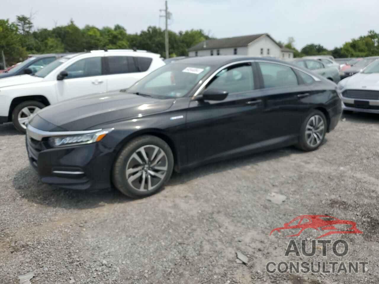 HONDA ACCORD 2019 - 1HGCV3F15KA020517