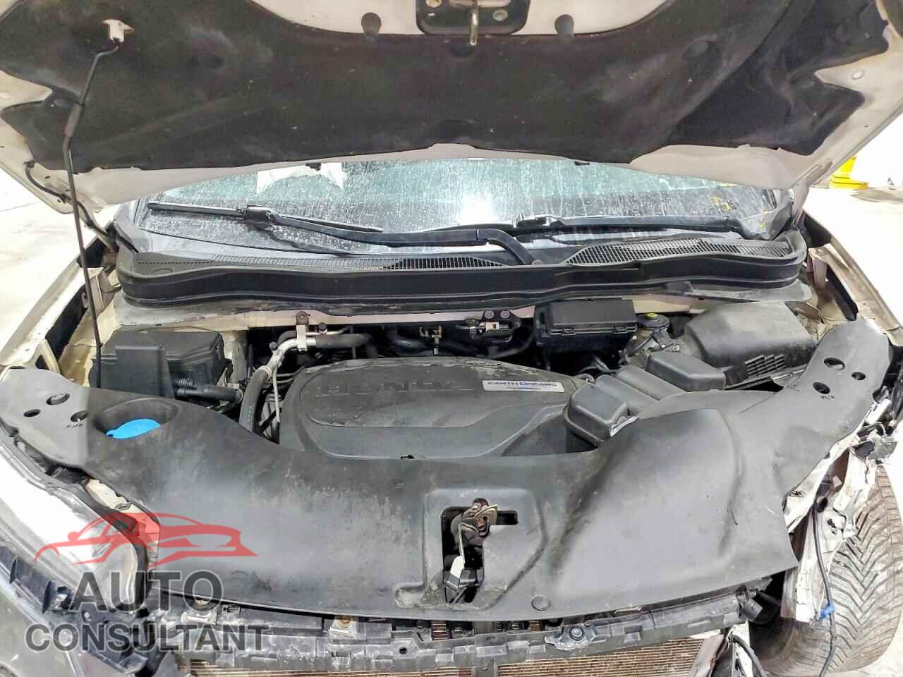 HONDA RIDGELINE 2019 - 5FPYK2F69KB004953