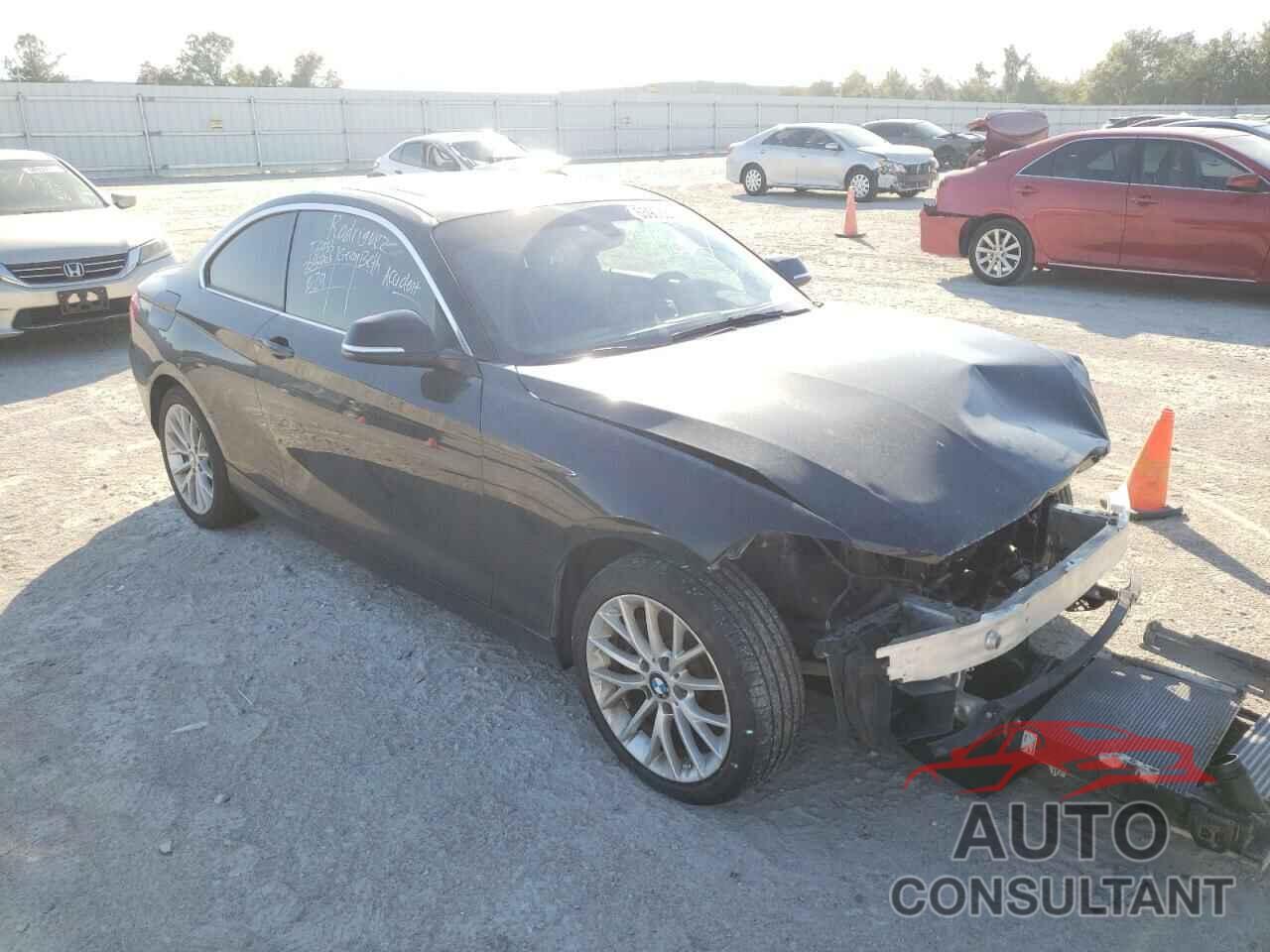 BMW 2 SERIES 2016 - WBA1F9C55GV544244