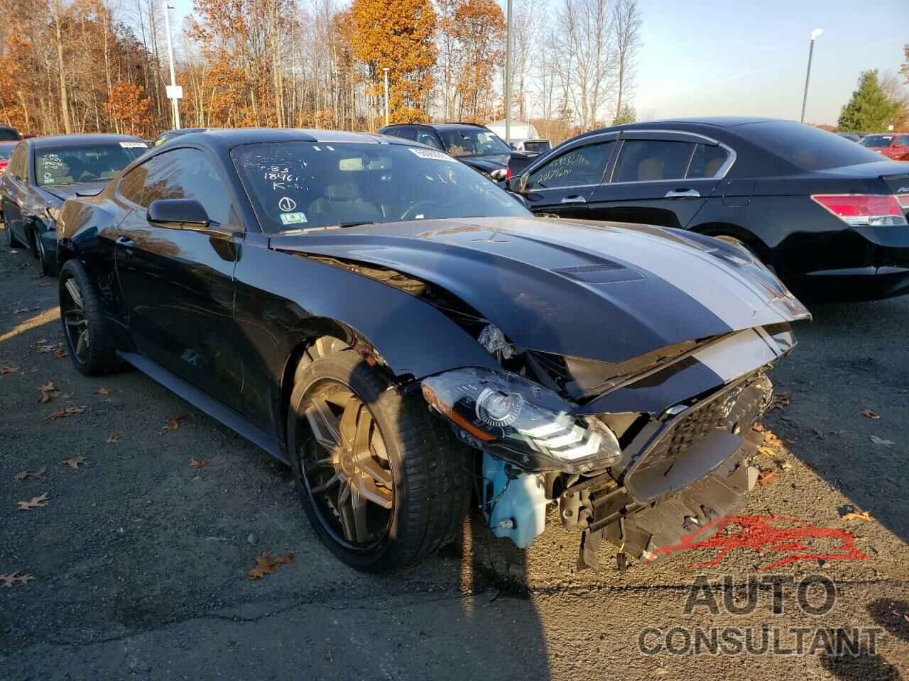 FORD MUSTANG 2019 - 1FA6P8TH8K5195282
