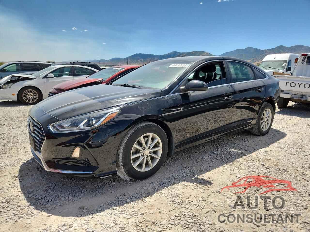 HYUNDAI SONATA 2019 - 5NPE24AF2KH740231