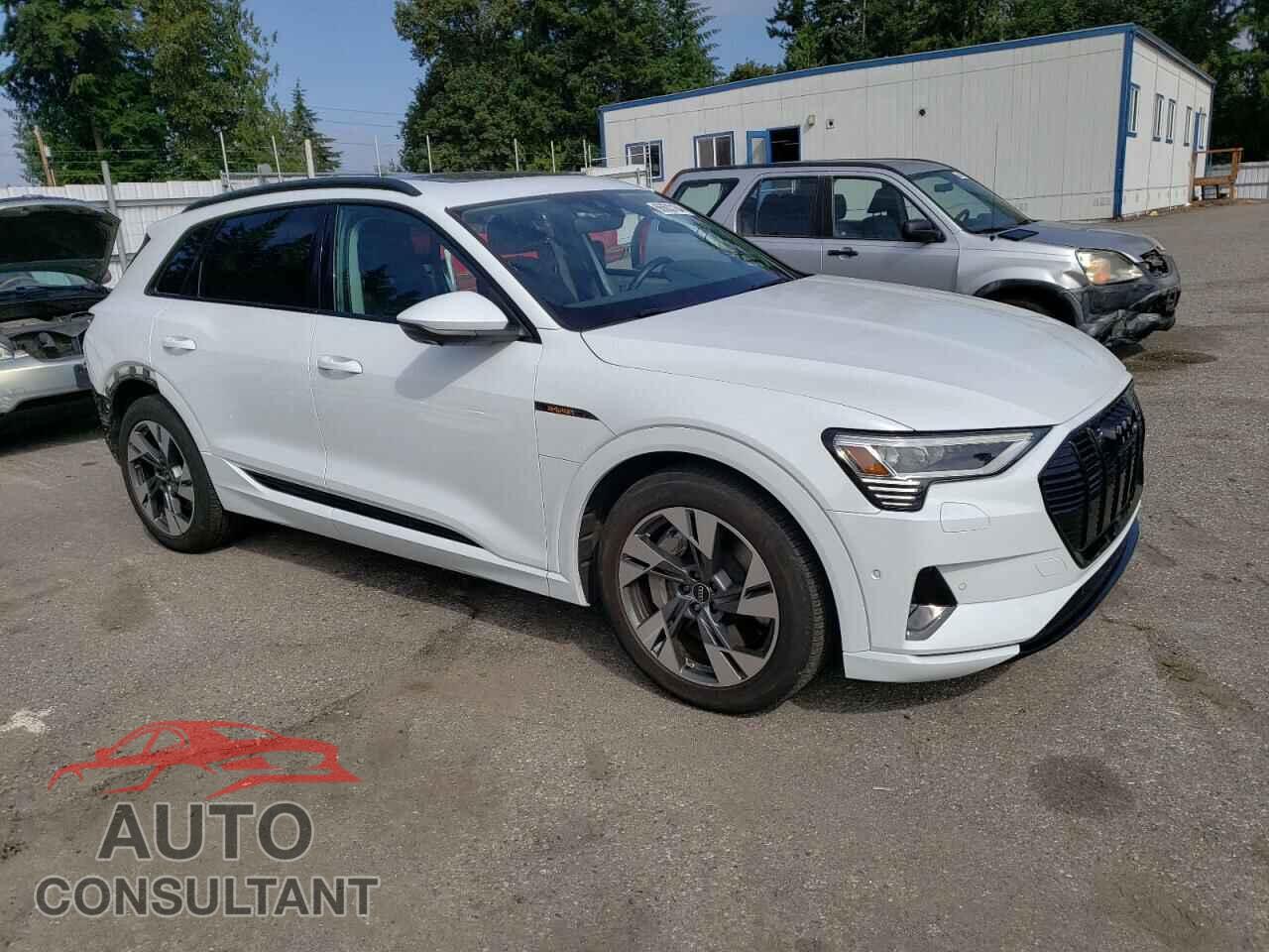 AUDI E-TRON 2022 - WA1AAAGE0NB044501