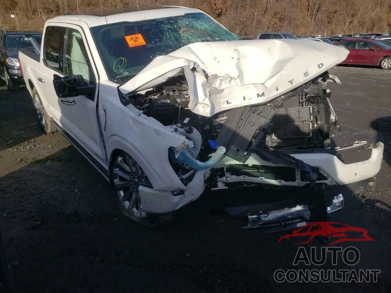 FORD F-150 2021 - 1FTFW1ED2MFB06057