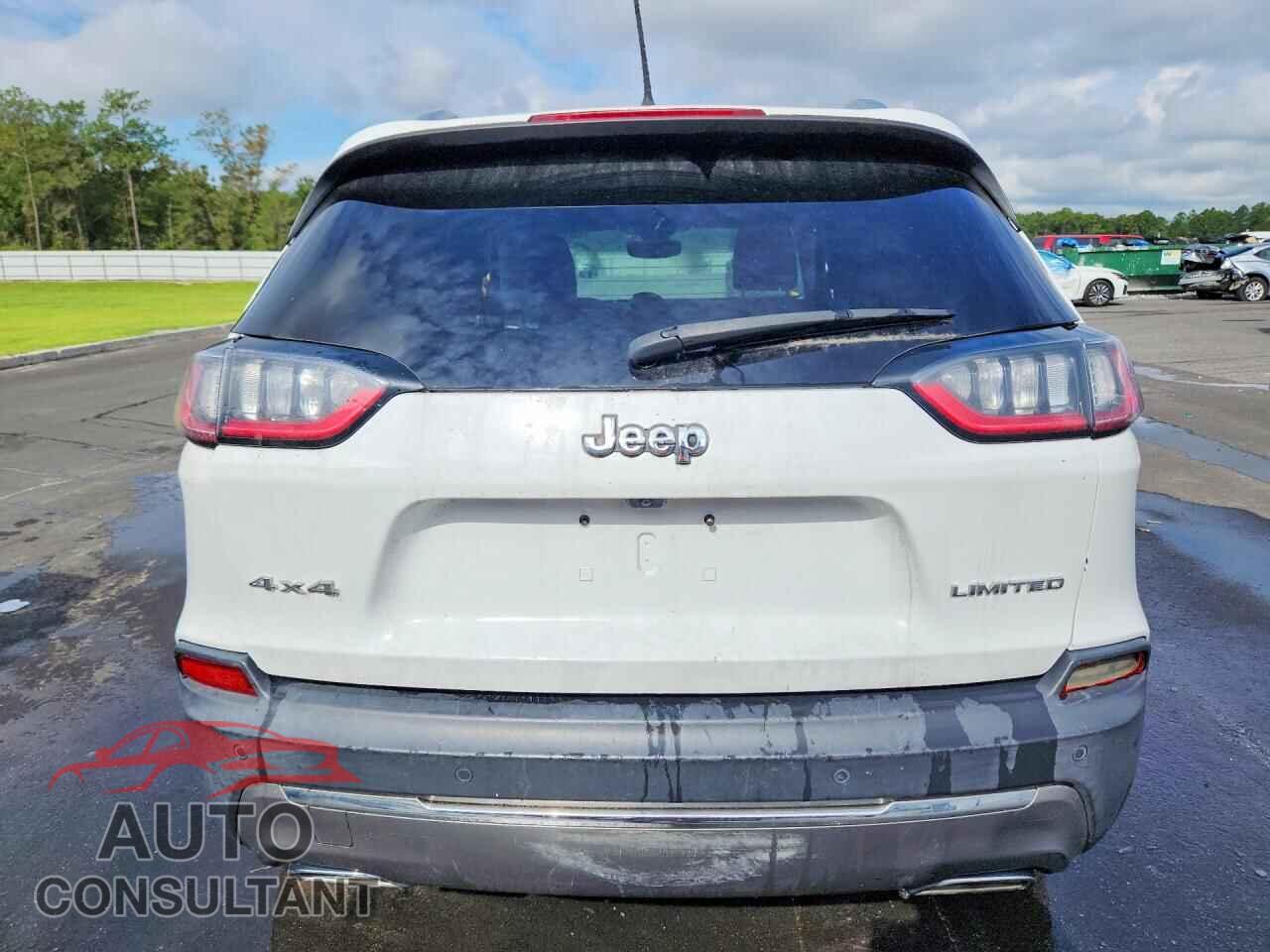 JEEP CHEROKEE 2019 - 1C4PJMDX2KD412443