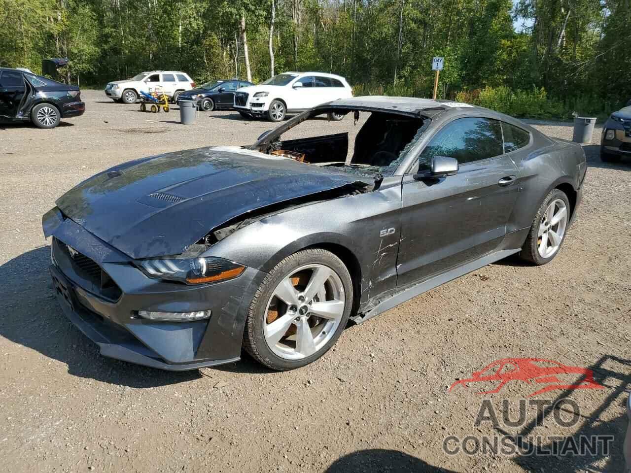 FORD MUSTANG 2019 - 1FA6P8CF6K5190189