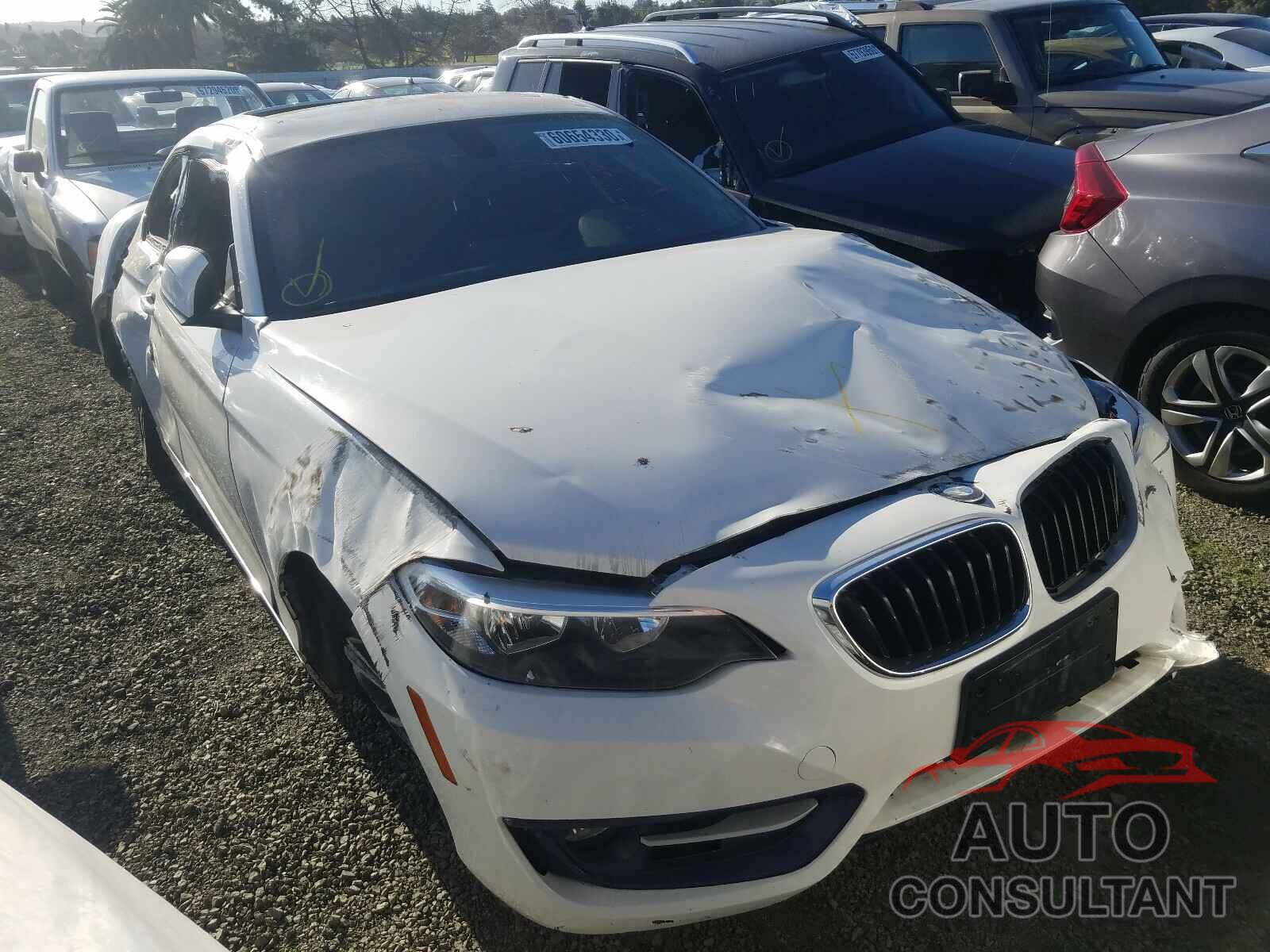 BMW 2 SERIES 2016 - WBA1F9C58GV544416