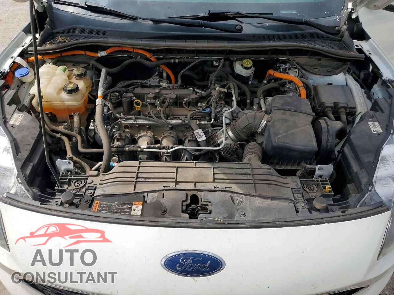FORD ESCAPE 2020 - 1FMCU0DZ7LUC08413