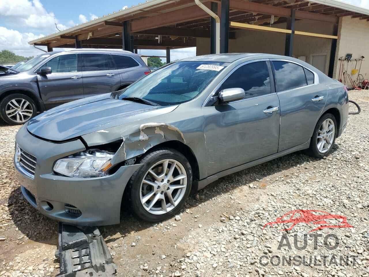 NISSAN MAXIMA 2010 - 1N4AA5AP8AC853374