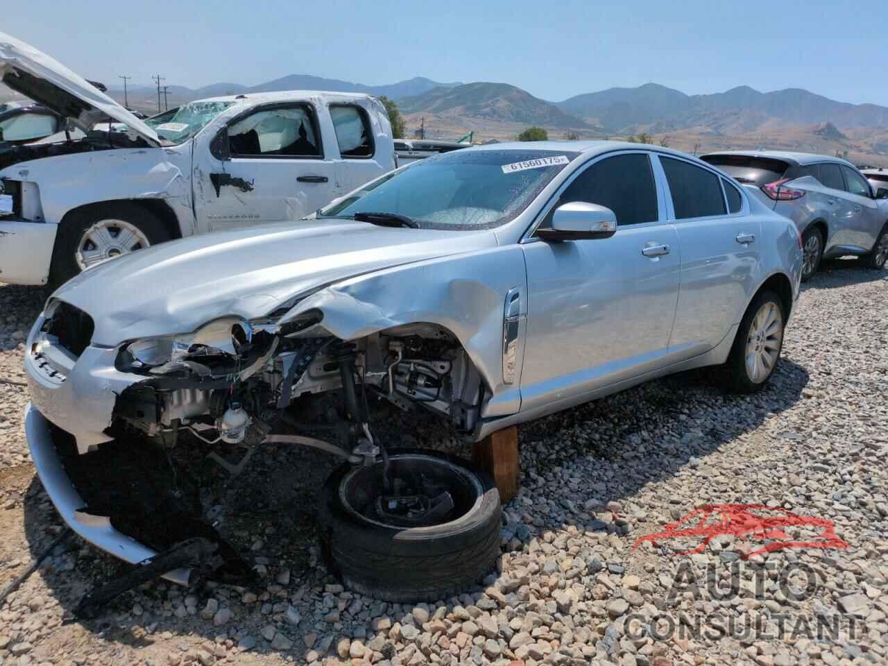 JAGUAR XF 2009 - SAJWA06B99HR41172