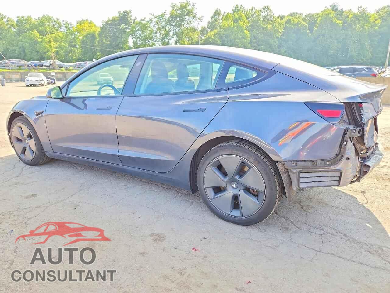 TESLA MODEL 3 2021 - 5YJ3E1EA4MF097734