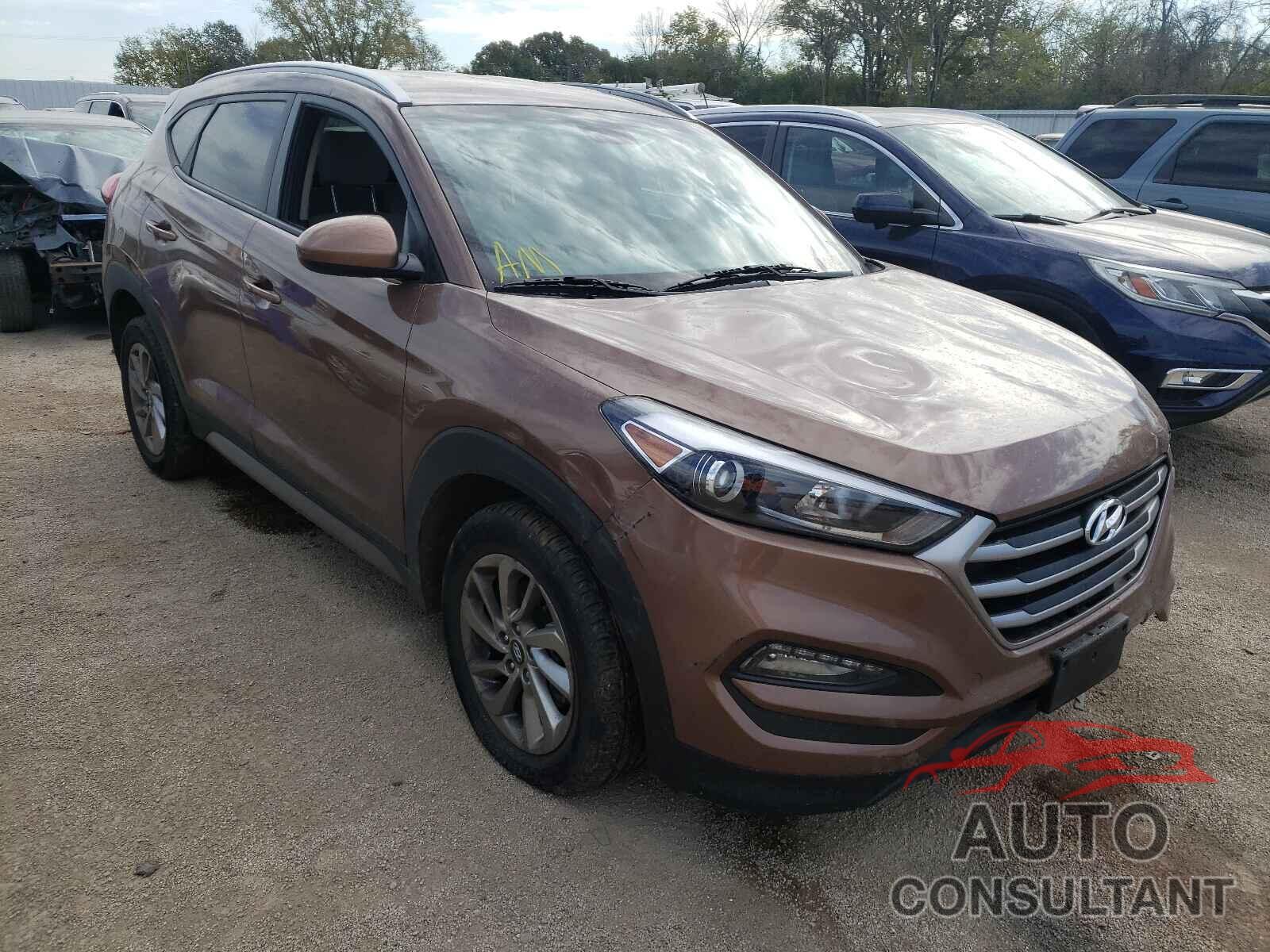 HYUNDAI TUCSON 2017 - KM8J33A45HU293182