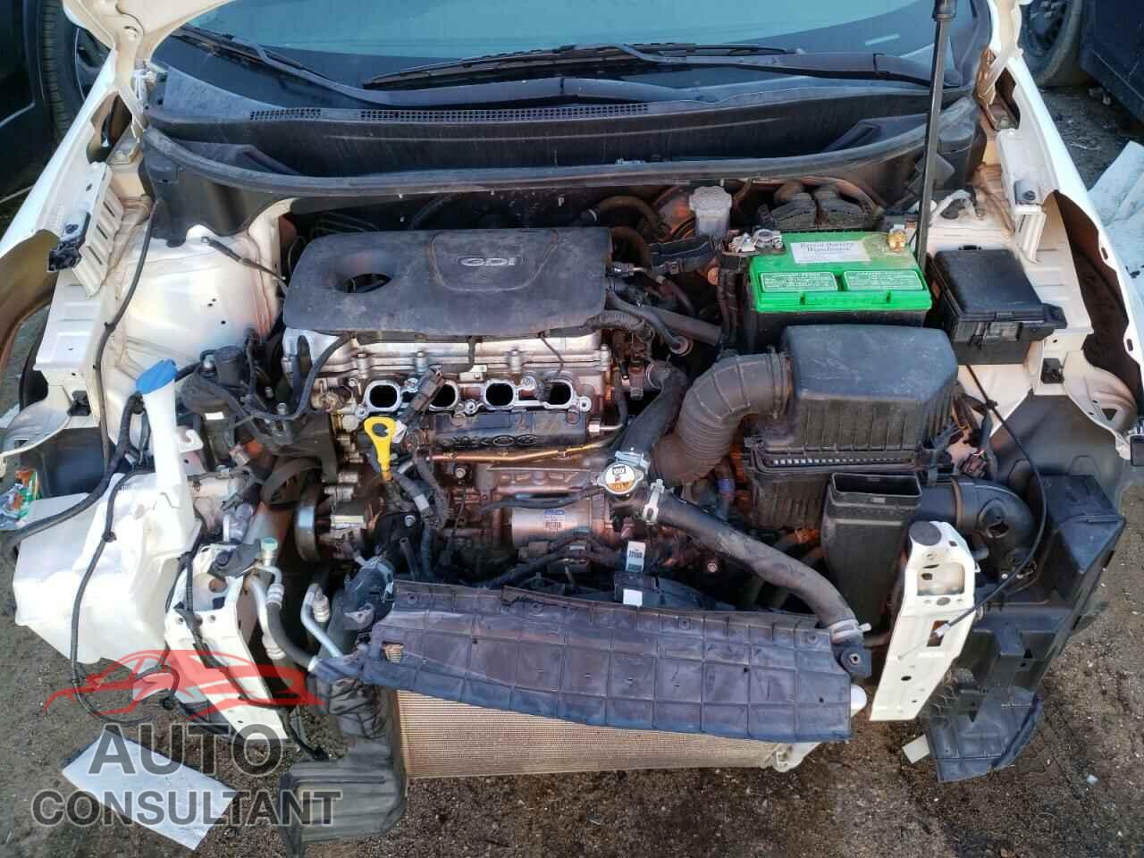 KIA RIO 2016 - KNADM4A30G6637478