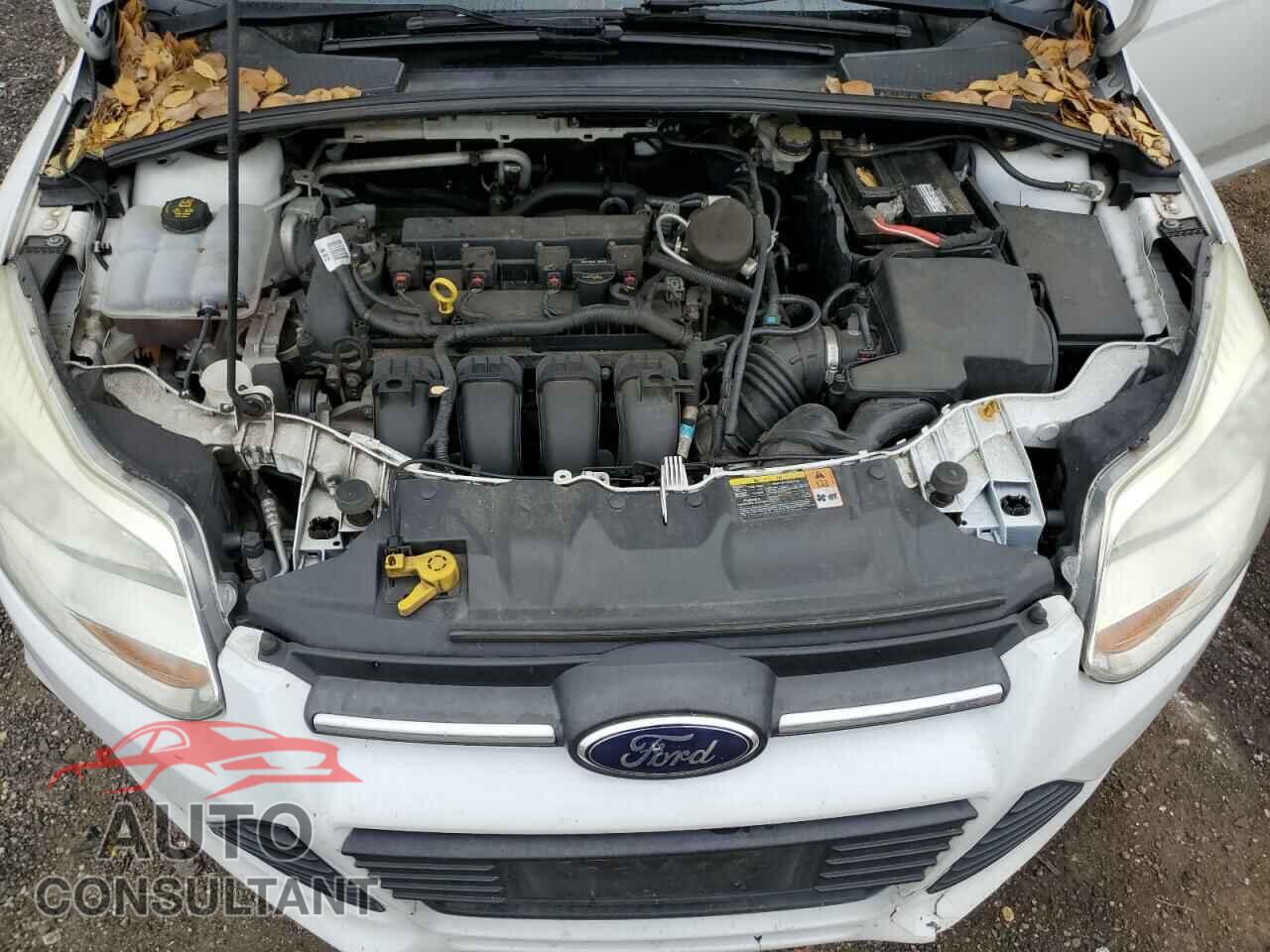 FORD FOCUS 2014 - 1FADP3F22EL260774