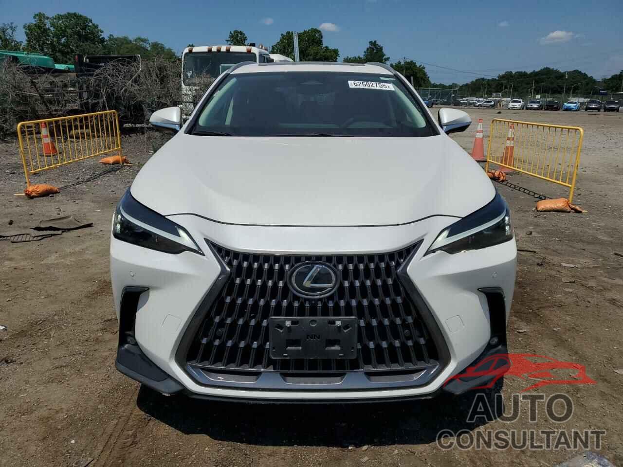 LEXUS NX 350 PRE 2024 - 2T2GGCEZ0RC056702