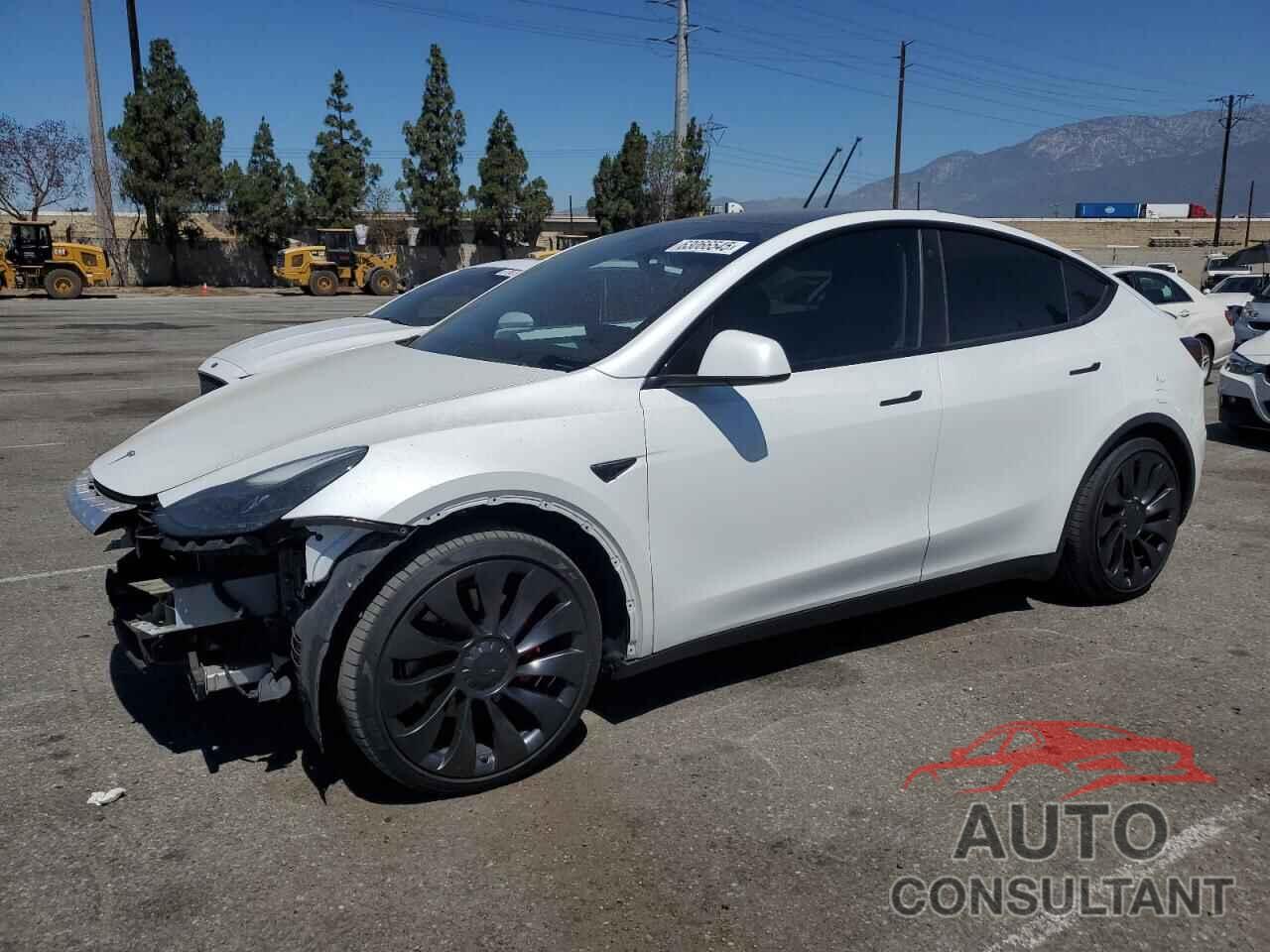 TESLA MODEL Y 2022 - 7SAYGDEF6NF488689