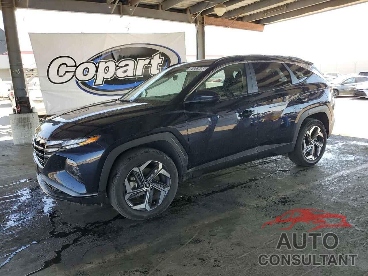 HYUNDAI TUCSON 2024 - KM8JBDD25RU143142