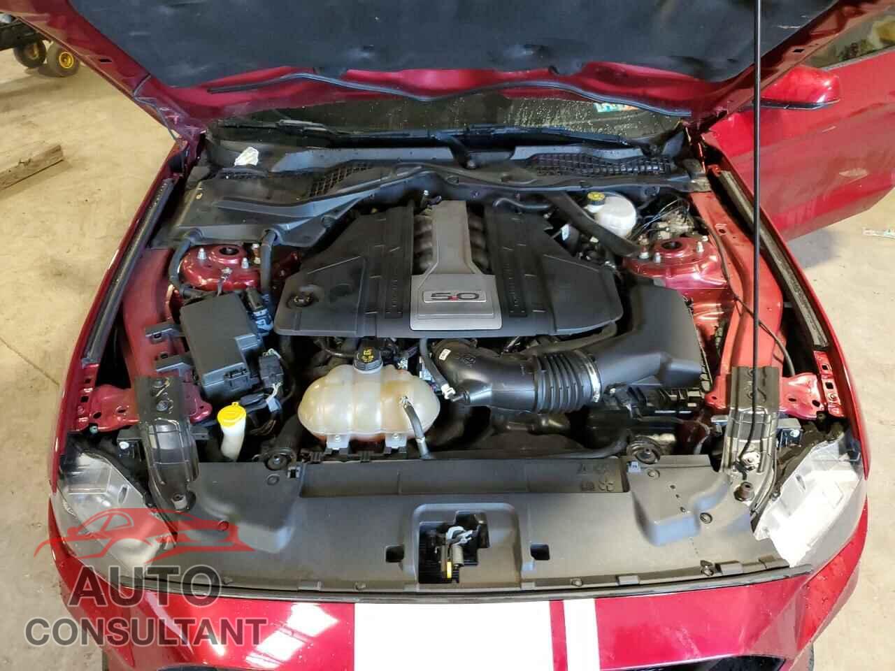 FORD MUSTANG 2019 - 1FA6P8CF5K5164229