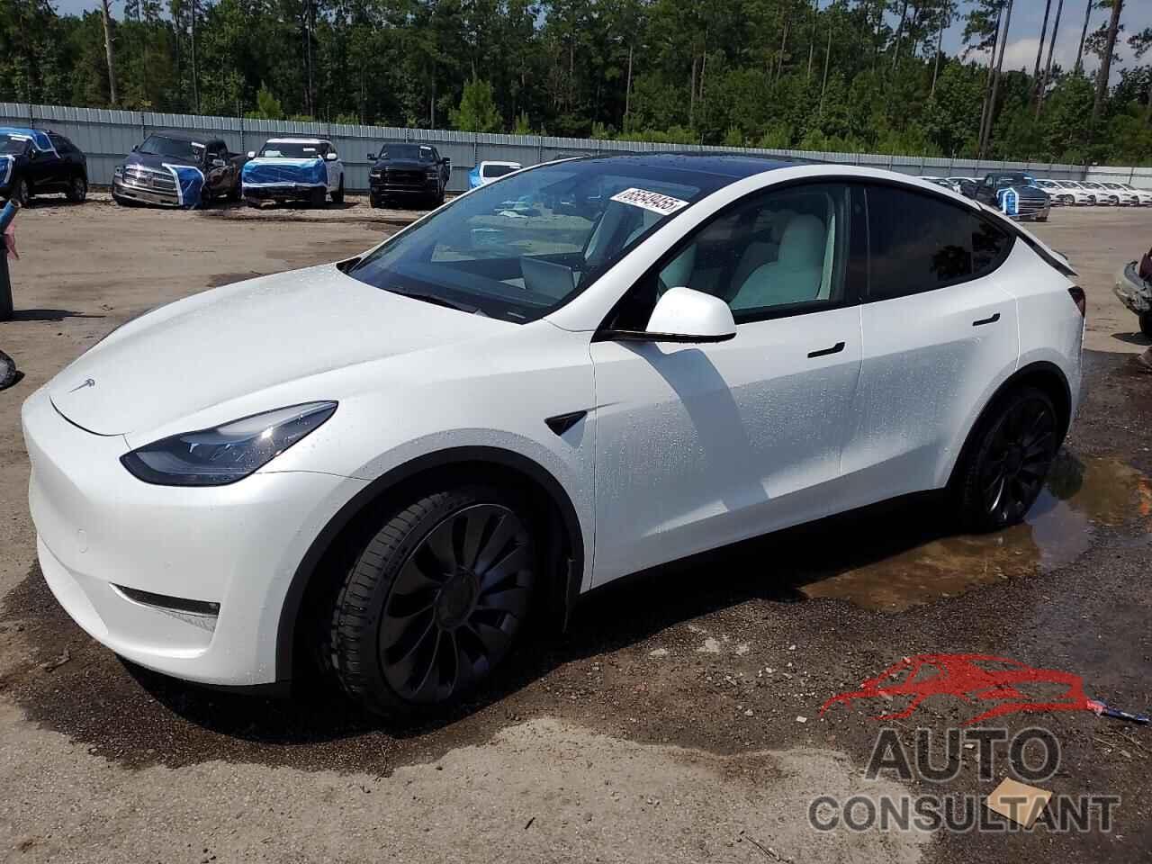 TESLA MODEL Y 2022 - 7SAYGDEF1NF326310