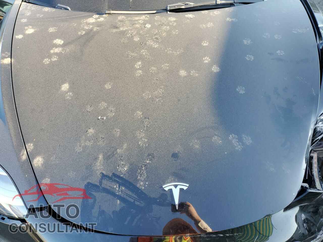 TESLA MODEL 3 2023 - 5YJ3E1EA2PF517009