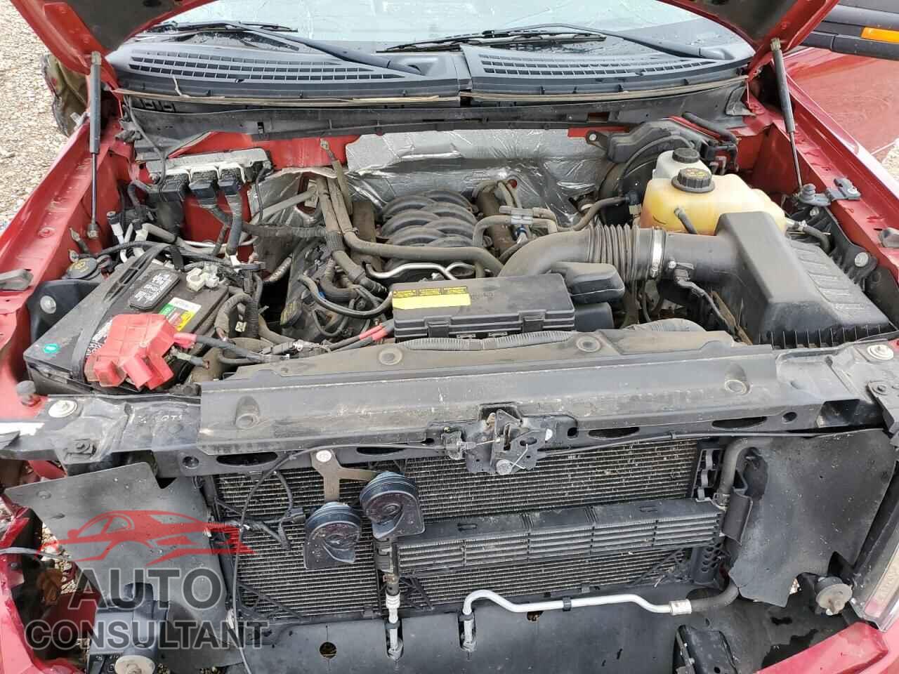 FORD F-150 2013 - 1FTFW1EF0DFD18151
