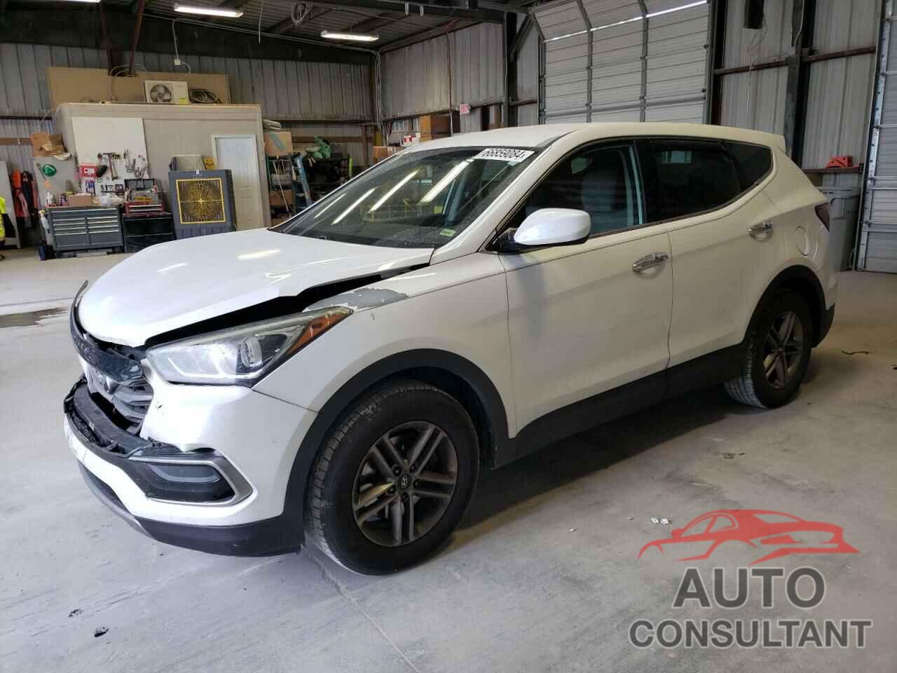 HYUNDAI SANTA FE 2017 - 5NMZTDLB8HH023055