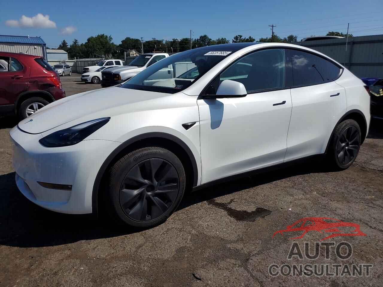 TESLA MODEL Y 2024 - 7SAYGDEE6RF161948