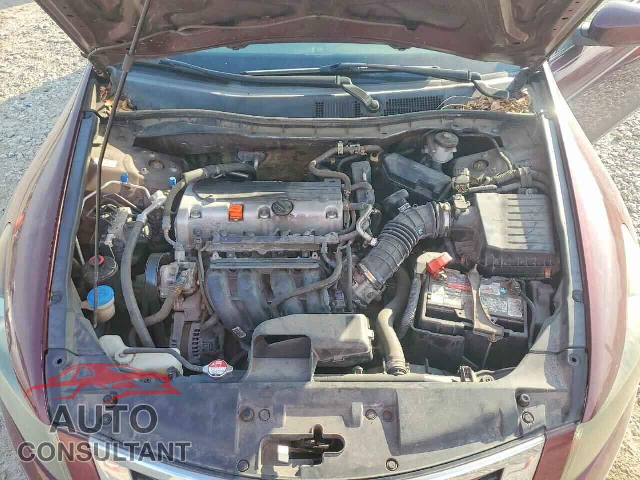 HONDA ACCORD 2010 - 1HGCP2F30AA175366