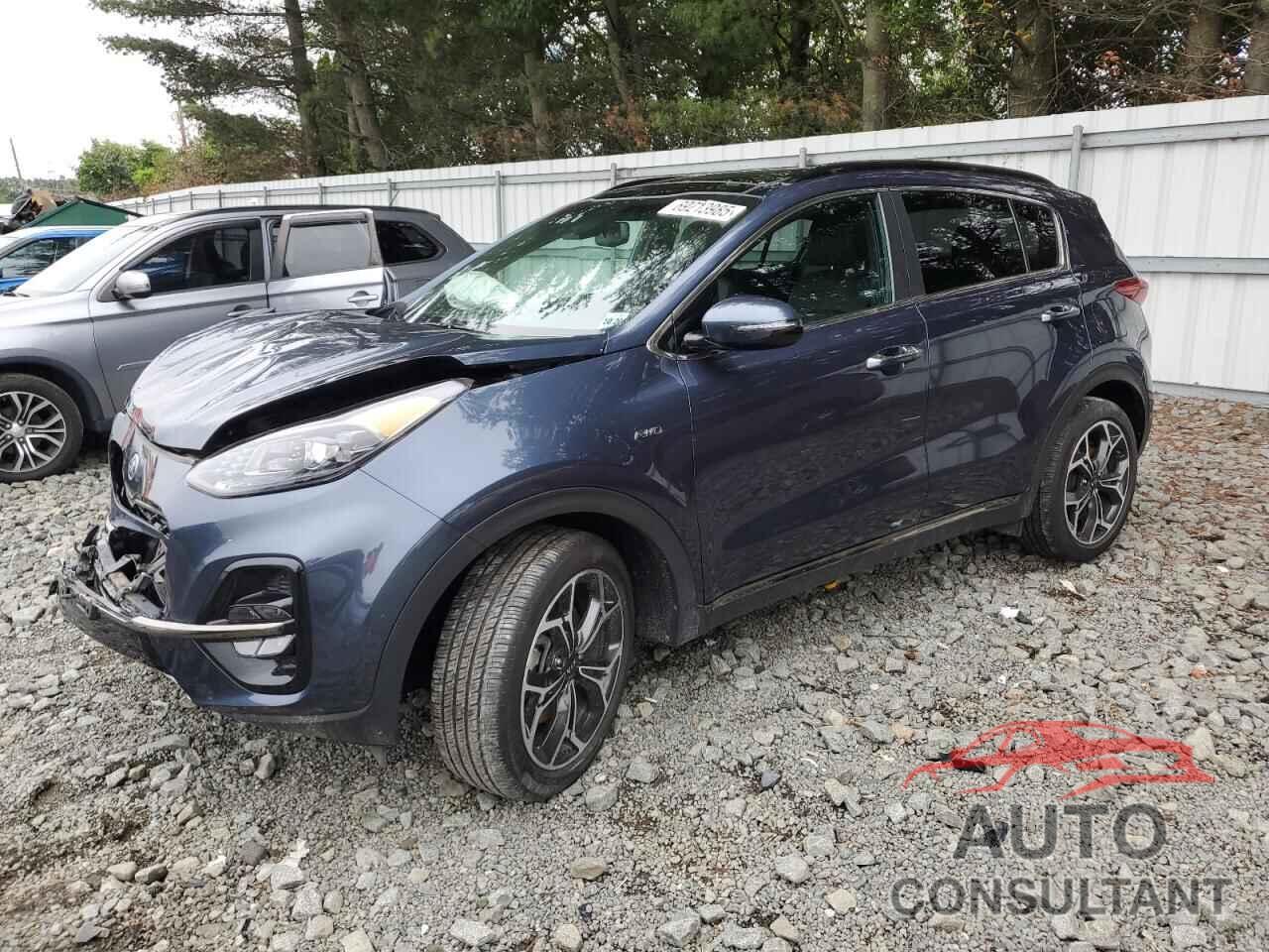 KIA SPORTAGE 2022 - KNDPRCA67N7972184