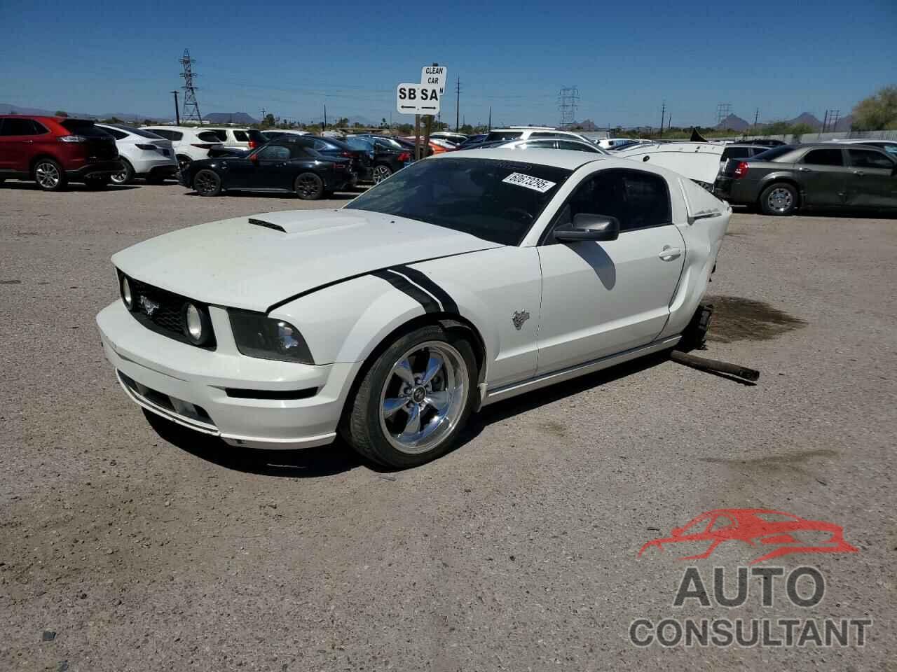 FORD MUSTANG 2009 - 1ZVHT82H995140721