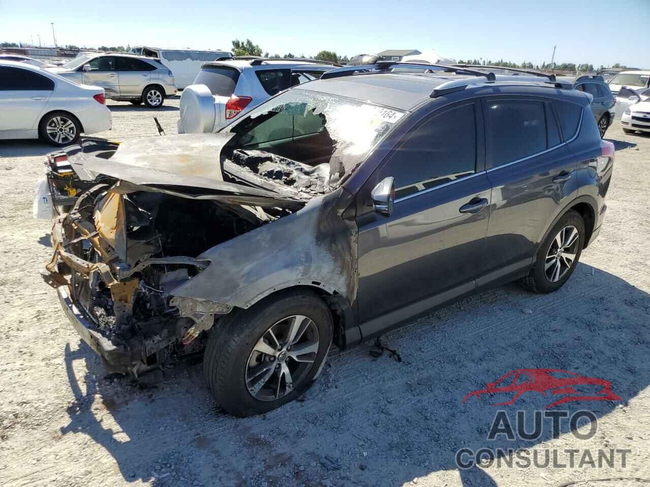 TOYOTA RAV4 2016 - 2T3RFREV0GW446363