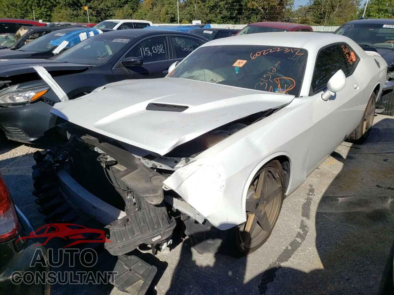 DODGE CHALLENGER 2019 - 2C3CDZAG8KH502159