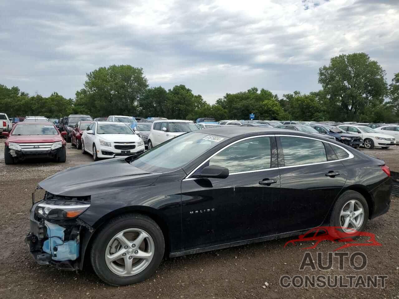 CHEVROLET MALIBU 2016 - 1G1ZB5ST8GF295905