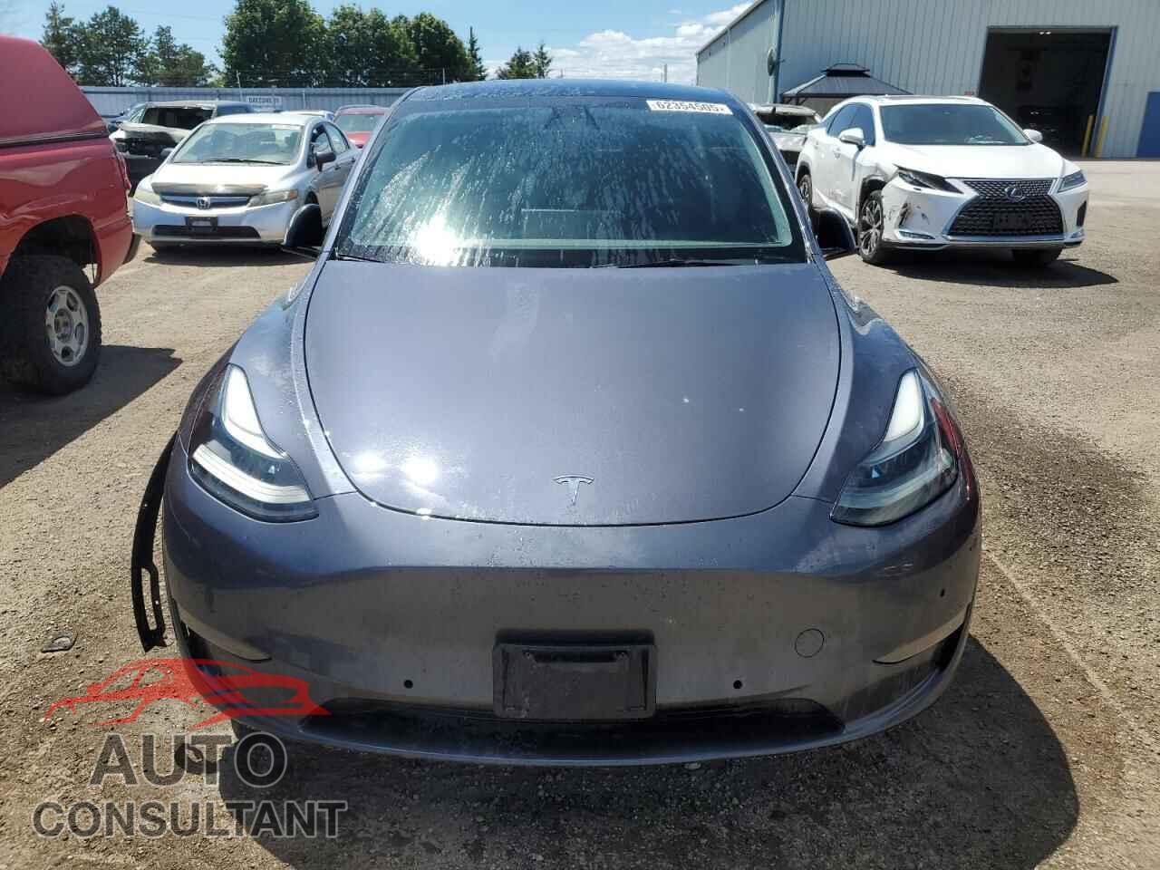 TESLA MODEL Y 2022 - 7SAYGDEF8NF548228
