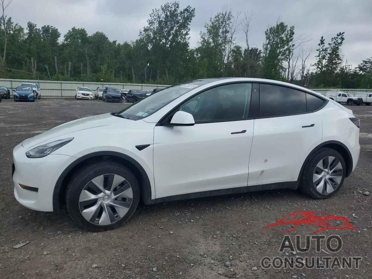 TESLA MODEL Y 2022 - 7SAYGAEE8NF567495