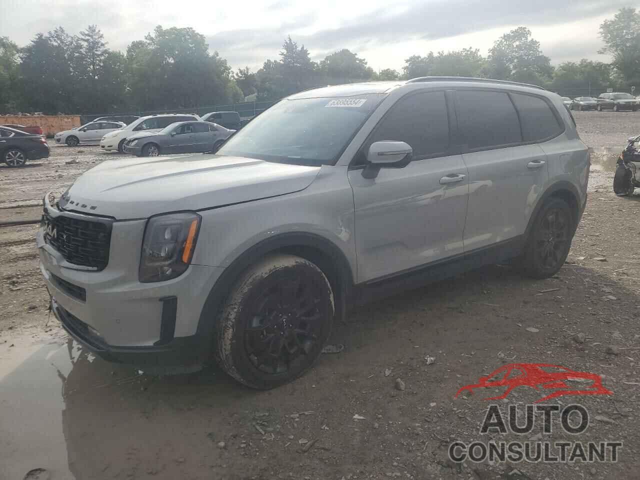 KIA TELLURIDE 2022 - 5XYP5DHCXNG241278