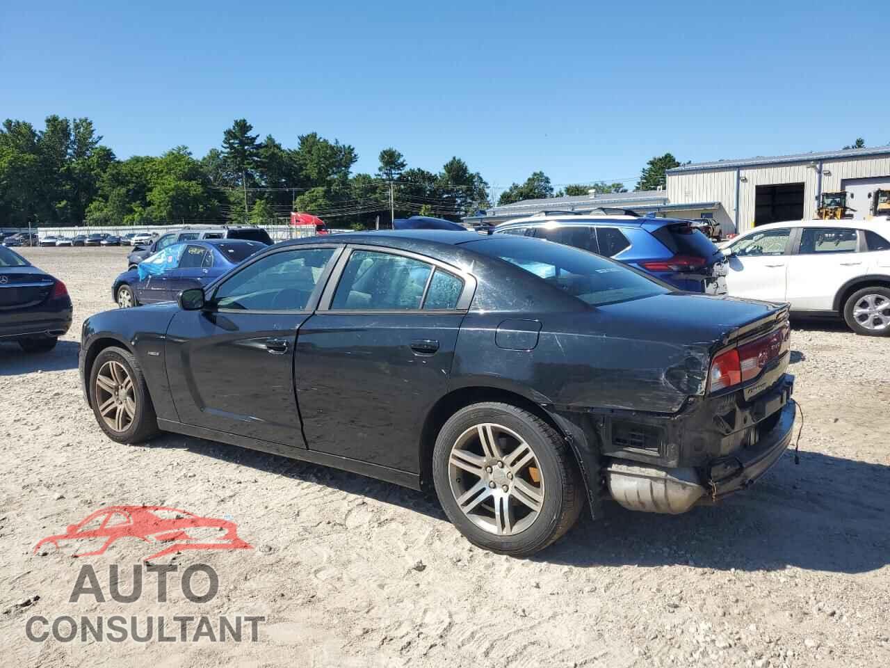 DODGE CHARGER 2013 - 2C3CDXCT8DH701357