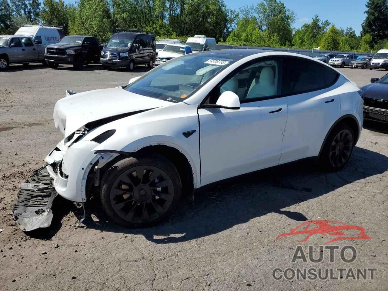 TESLA MODEL Y 2021 - 5YJYGDEE6MF240980
