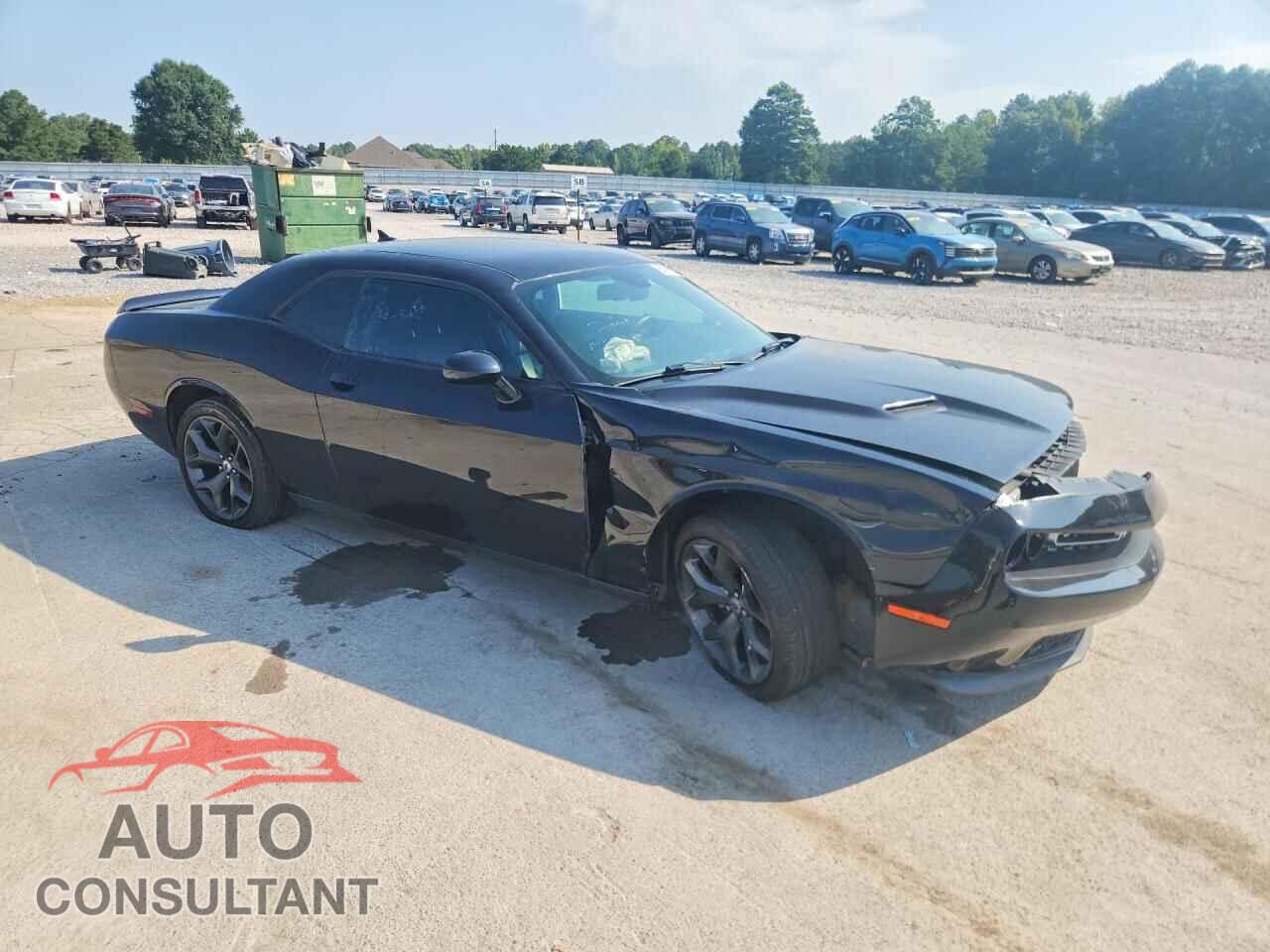 DODGE CHALLENGER 2019 - 2C3CDZAG3KH649845